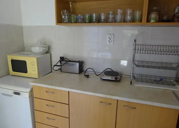 Hris 招待所 切尔诺莫雷茨