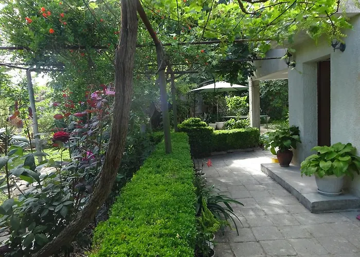 Hris 切尔诺莫雷茨